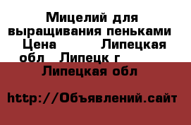  Мицелий для выращивания пеньками › Цена ­ 150 - Липецкая обл., Липецк г.  »    . Липецкая обл.